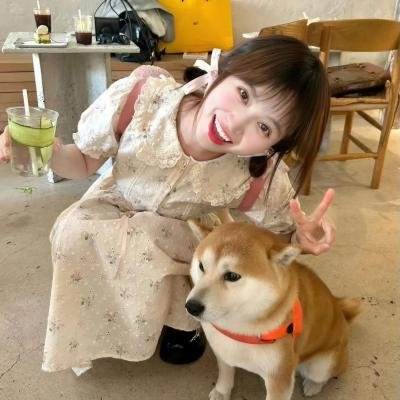废柴上路第二季